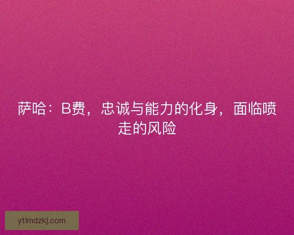 萨哈：B费，忠诚与能力的化身，面临喷走的风险